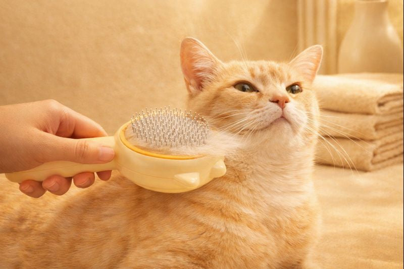 Pet Hair Remover Brush for Cats & Dogs – Reusable, Easy Clean, No Batteries,
